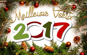 Bonne année 2017