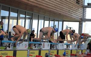 Meeting &quot;open&quot; d'hiver des Maîtres de l'Essonne - 25 m - 17-18/02/2018