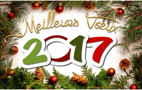 Bonne année 2017