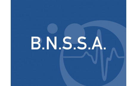 Brevet National de Sécurité et de Sauvetage Aquatique